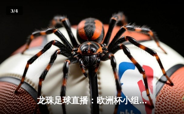 龙珠足球直播：欧洲杯小组赛焦点战，法国3-1逆转德国，姆巴佩传射建功 - 3